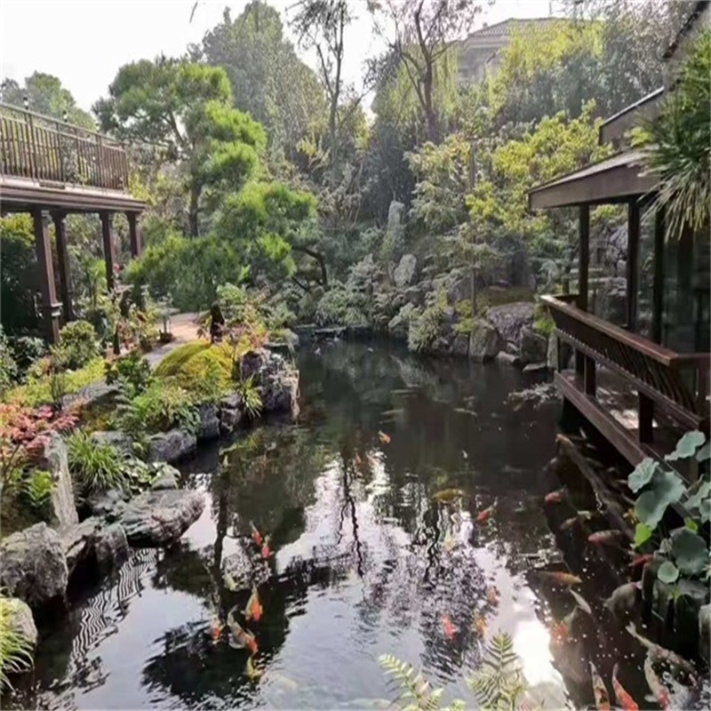建湖庭院假山鱼池样式